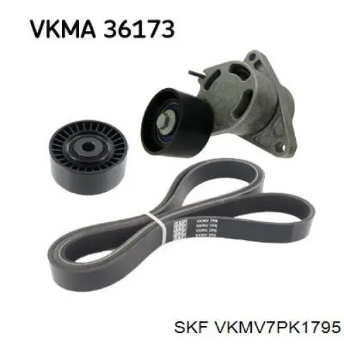 VKMV7PK1795 SKF correa trapezoidal