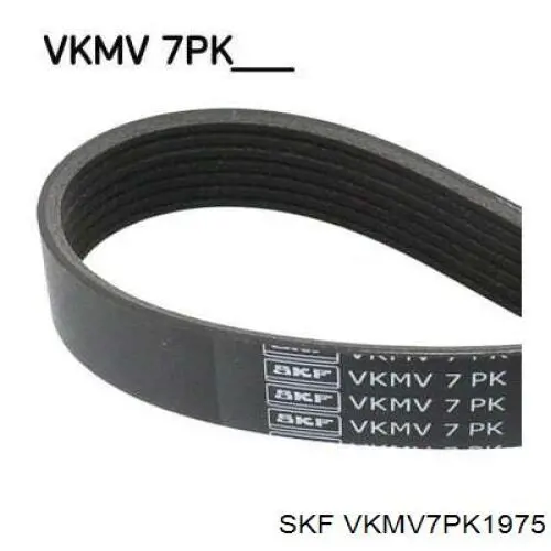 VKMV 7PK1975 SKF correa trapezoidal
