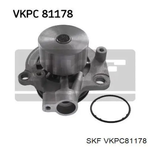 VKPC 81178 SKF bomba de agua