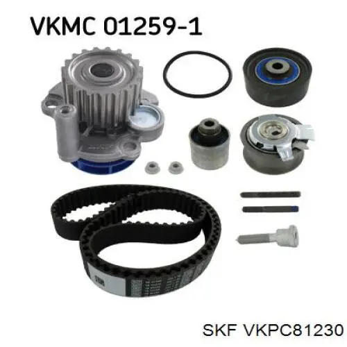 VKPC 81230 SKF bomba de agua