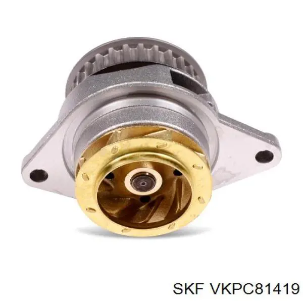 Motor de agua SKF VKPC81419
