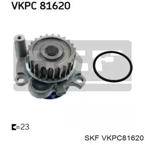 VKPC 81620 SKF bomba de agua