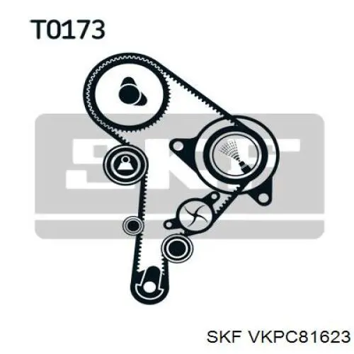 VKPC81623 SKF Bomba refrigerante coche