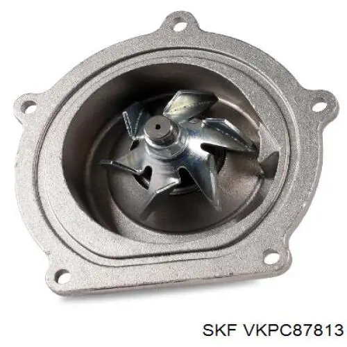 Bombeadora de agua SKF VKPC87813 precio, desde 40,22 EUR
