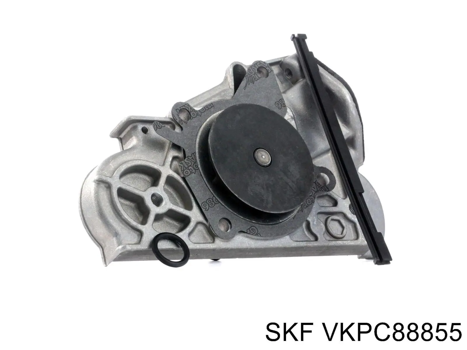 Bombeadora de agua SKF VKPC88855 precio, desde 73,79 EUR