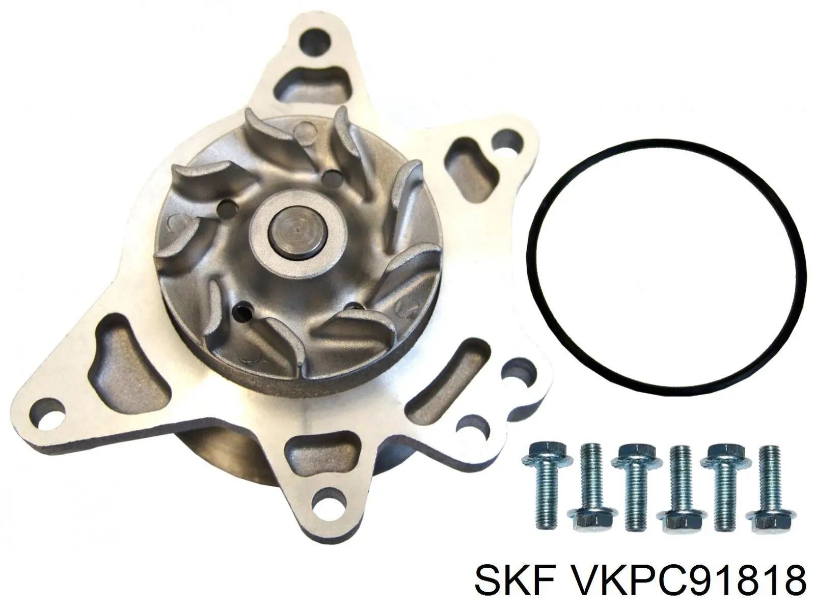 VKPC91818 SKF