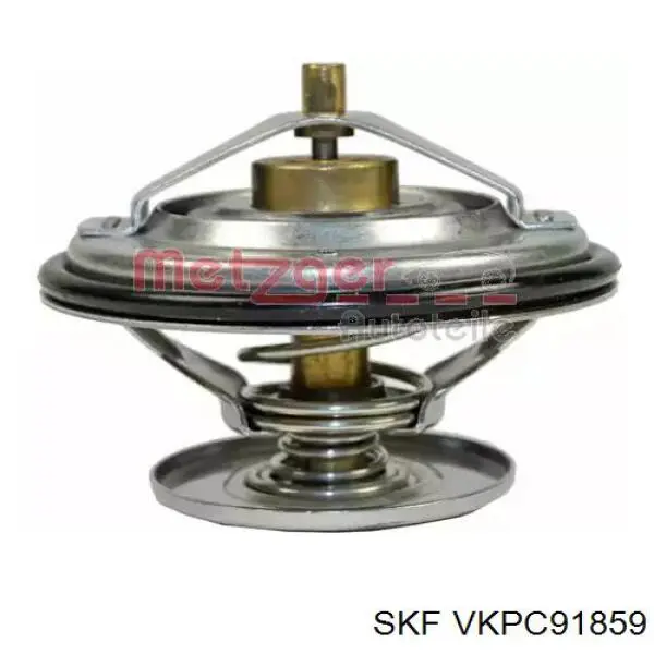 VKPC91859 SKF bomba de agua