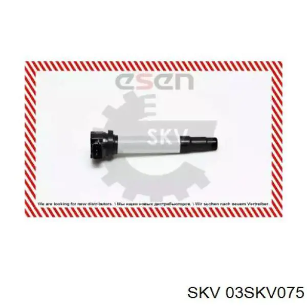 03SKV075 SKV bobina de encendido