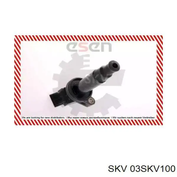 03SKV100 SKV bobina de encendido