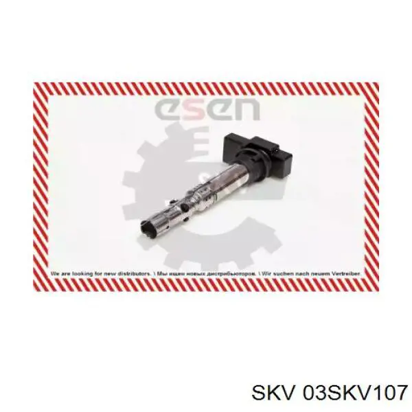 03SKV107 SKV bobina de encendido