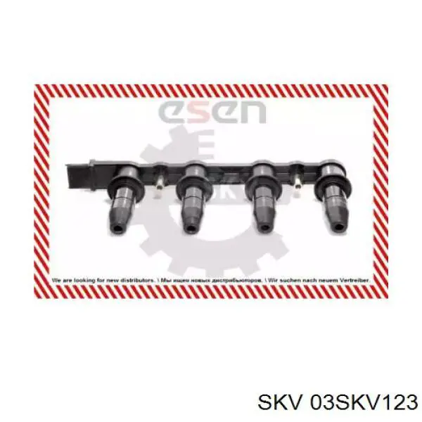 Bobina de encendido SKV 03SKV123