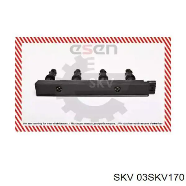 03SKV170 SKV bobina de encendido