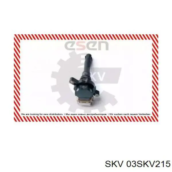 Bobina de encendido BMW 3 E46