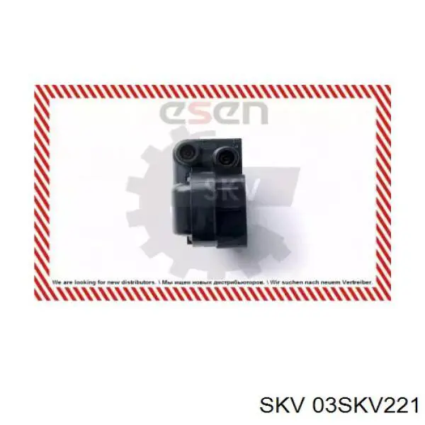 03SKV221 SKV bobina de encendido