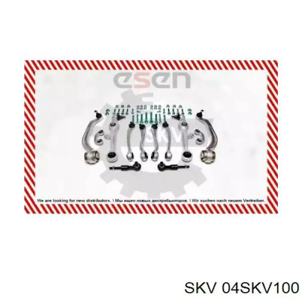 04SKV100 SKV Kit de brazo de suspensión delantera