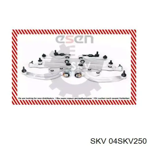 Kit de brazo de suspensión delantera 04SKV250 SKV