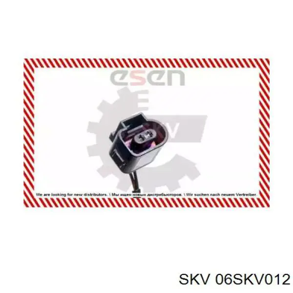 06SKV012 SKV sensor abs delantero