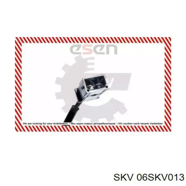 06SKV013 SKV sensor abs trasero