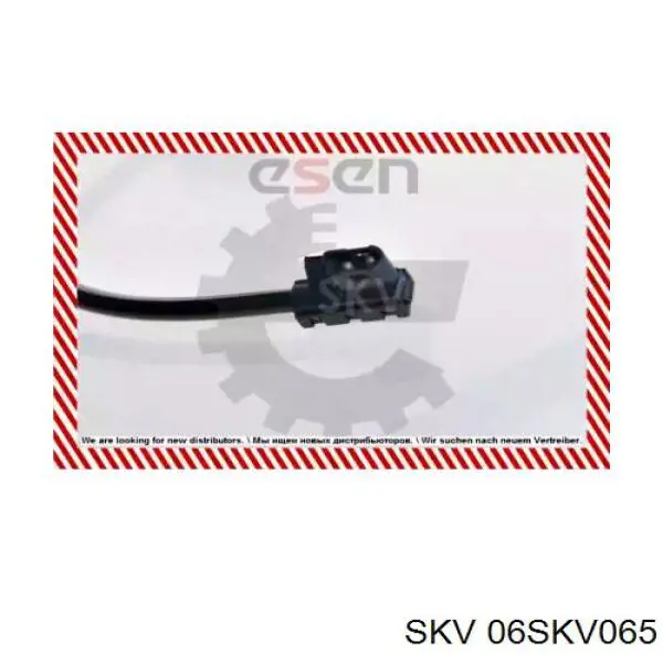 06SKV065 SKV sensor abs trasero