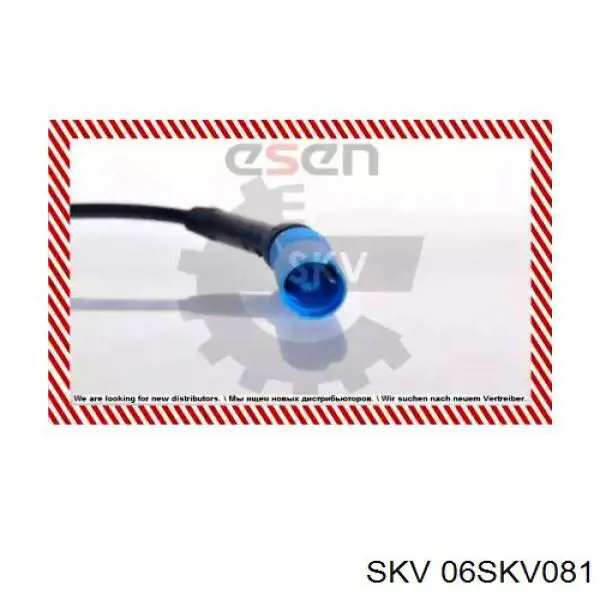 06SKV081 SKV sensor abs delantero