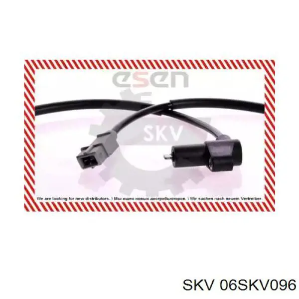 06SKV096 SKV sensor abs delantero