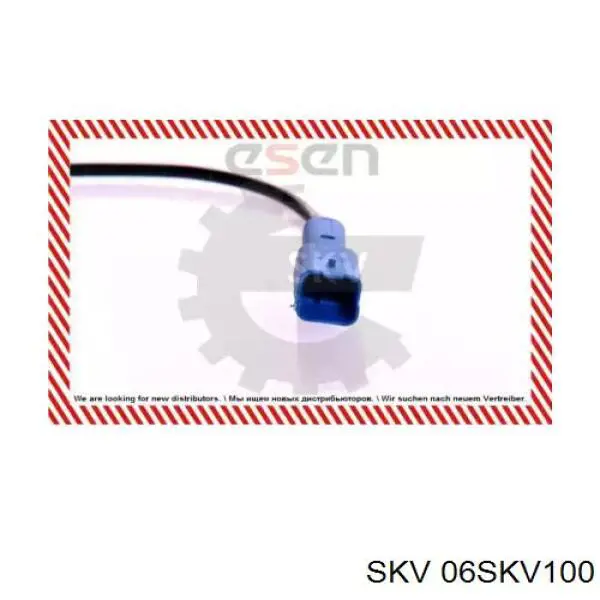 06SKV100 SKV sensor abs delantero