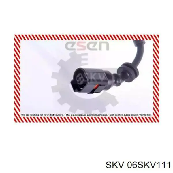 06SKV111 SKV sensor abs trasero derecho