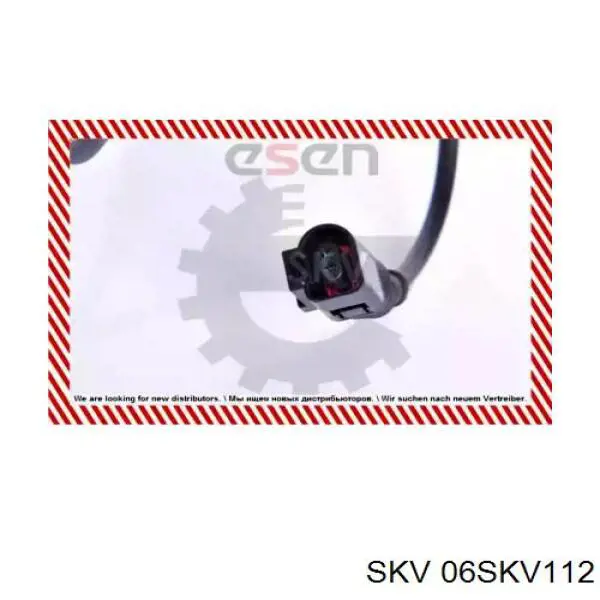 06SKV112 SKV sensor abs trasero