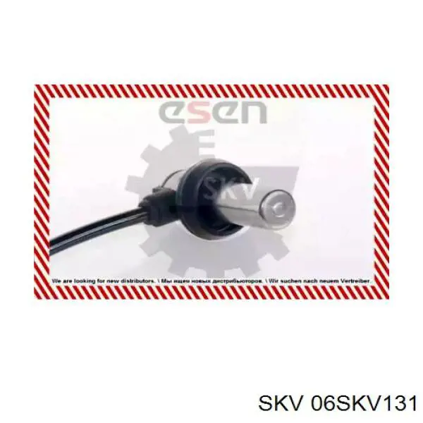 06SKV131 SKV sensor abs delantero