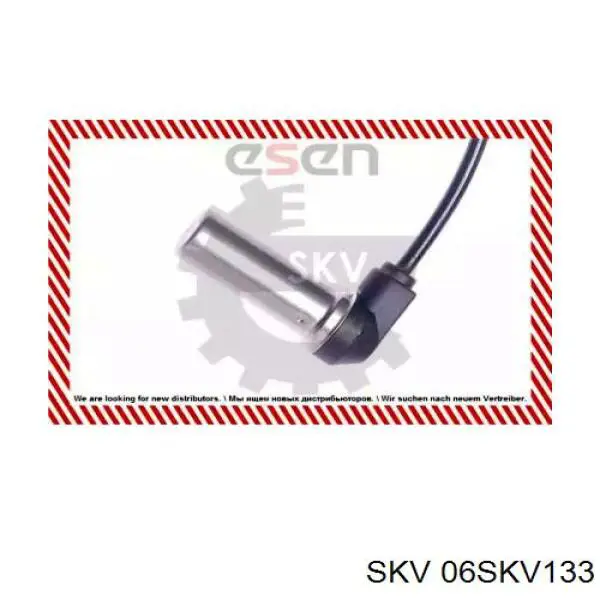 06SKV133 SKV sensor abs trasero