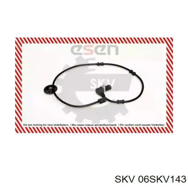 06SKV143 SKV sensor abs trasero derecho