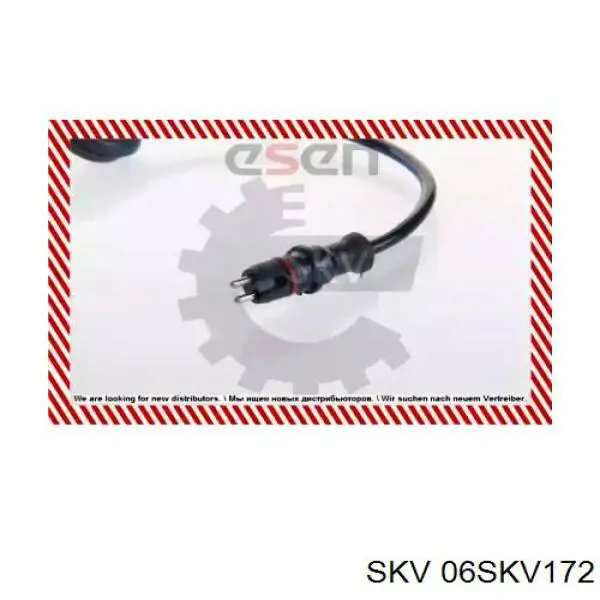 06SKV172 SKV sensor abs trasero