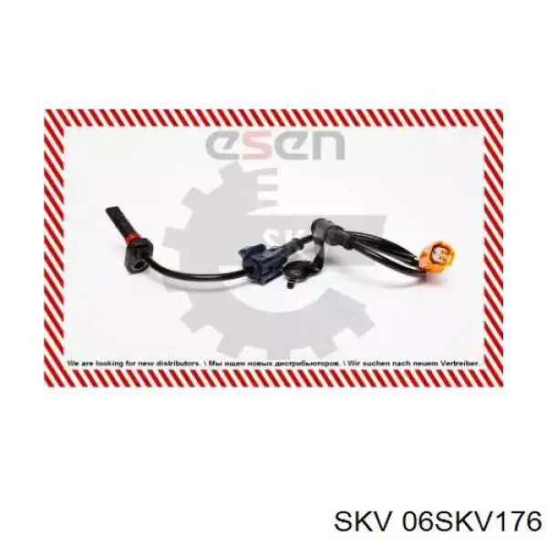 06SKV176 SKV sensor abs trasero derecho