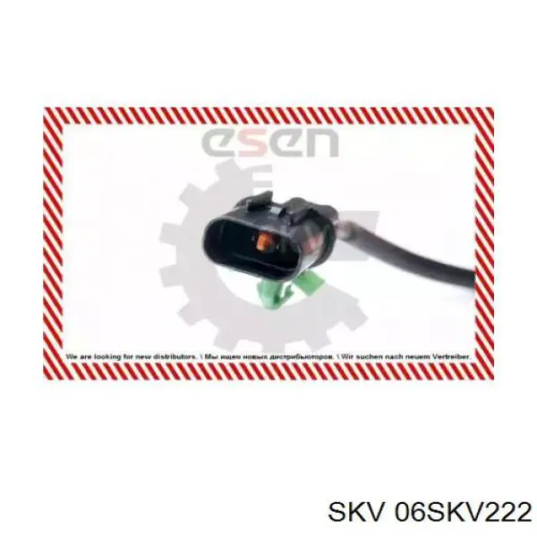 06SKV222 SKV sensor abs trasero derecho