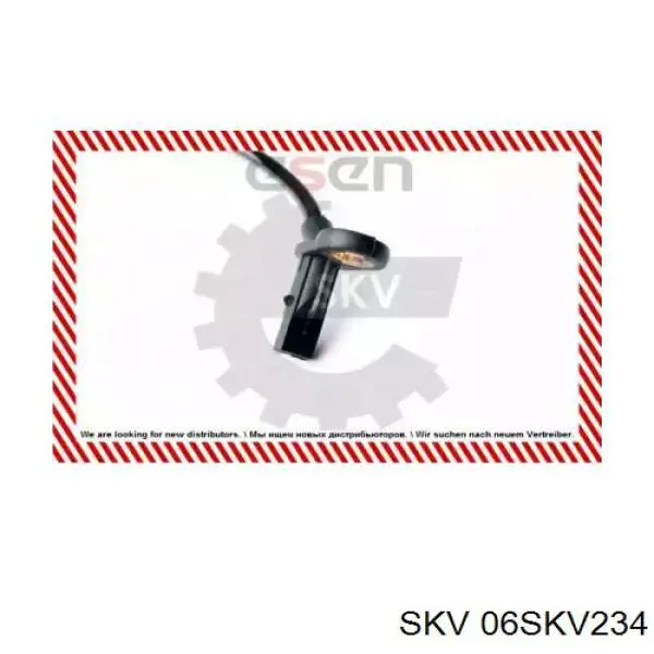 06SKV234 SKV sensor abs trasero