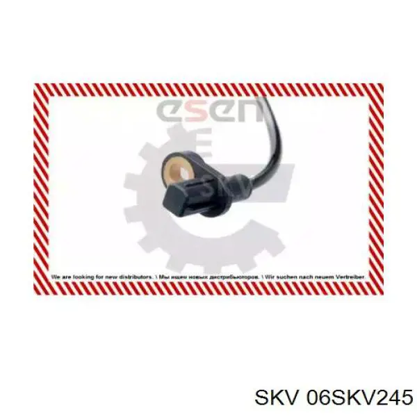 06SKV245 SKV sensor abs trasero