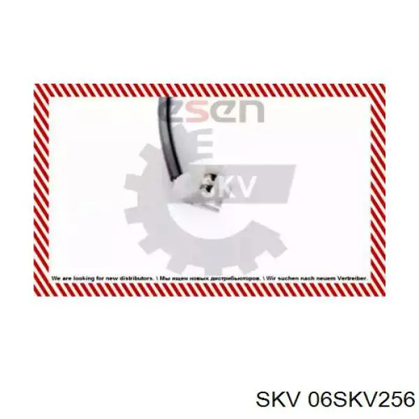 06SKV256 SKV sensor abs trasero derecho