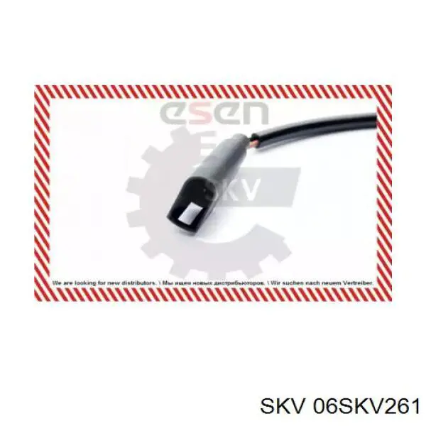 06SKV261 SKV sensor abs trasero