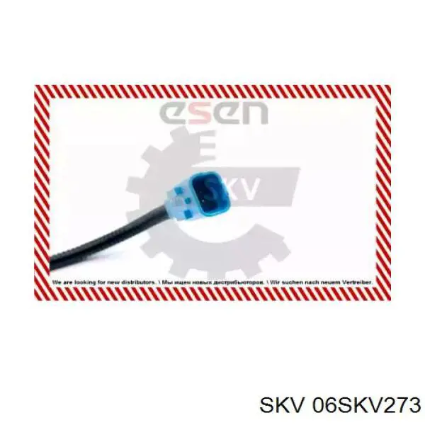 06SKV273 SKV sensor abs delantero