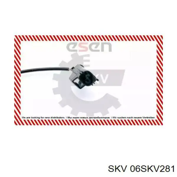 06SKV281 SKV sensor abs delantero