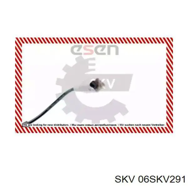 06SKV291 SKV sensor abs delantero