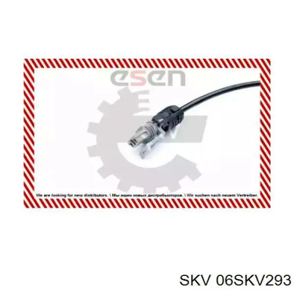 06SKV293 SKV sensor abs trasero