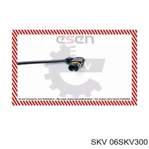 06SKV300 SKV sensor abs delantero