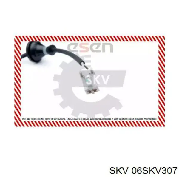 06SKV307 SKV sensor abs trasero derecho