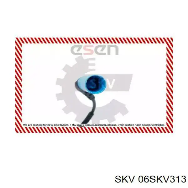 06SKV313 SKV sensor abs trasero