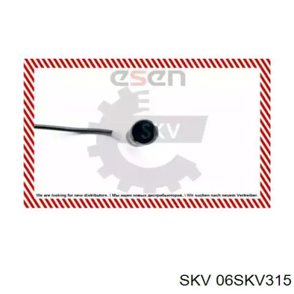 06SKV315 SKV sensor abs trasero