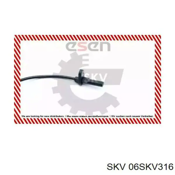 06SKV316 SKV sensor abs delantero