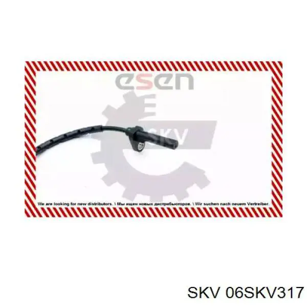 06SKV317 SKV sensor abs trasero