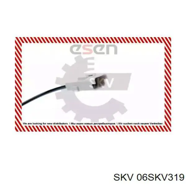 06SKV319 SKV sensor abs delantero