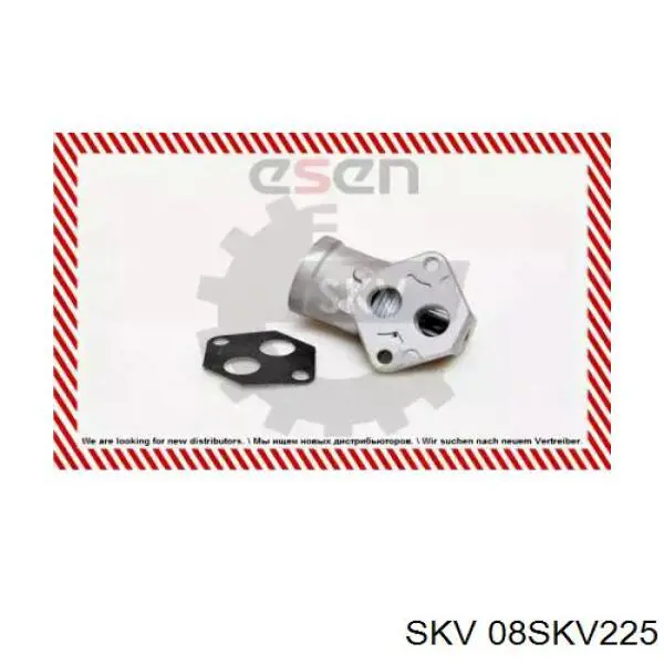 Comprar 6NW009141541 HELLA Válvula de ralentí (IAC)